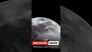 Break news NASA det…. #comedy #viralvideo