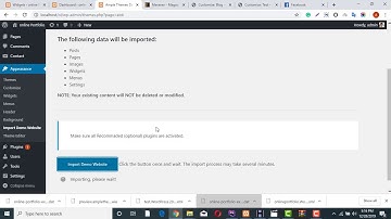 one click demo import for online portfolio WordPress Theme