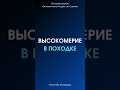 Высокомерие в походке || Ринат Абу Мухаммад