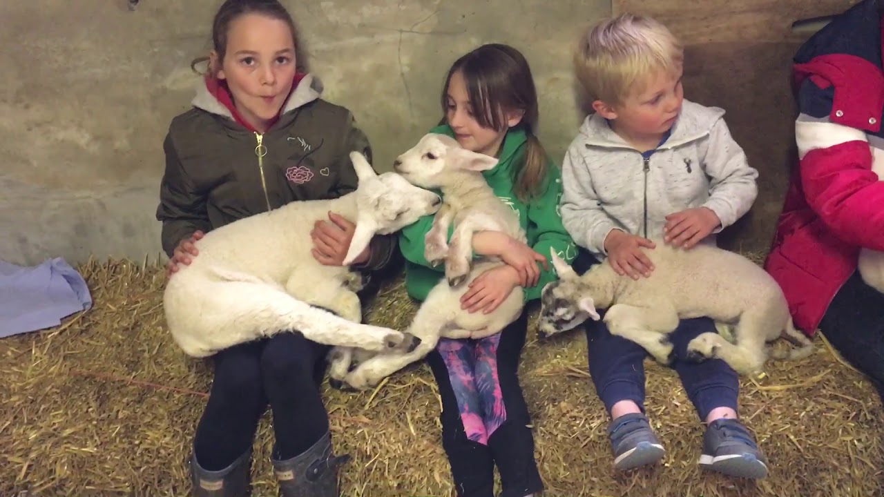 Gaston Farm 2019 Louisa 7 yrs with Poppy & Louis YouTube