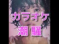 潮騒 カラオケ 松田聖子(歌詞付き)