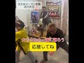 踊る!踊る!みんなで踊ろう!どっこいしょ!