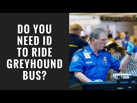 Do They Check ID On Greyhound Bus?