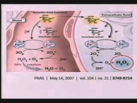 The Riordan IVC Protocol
