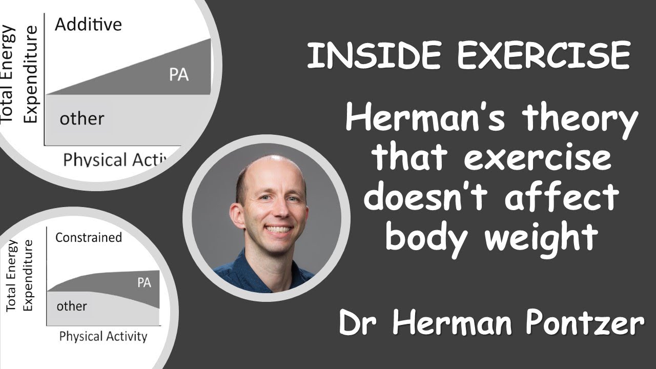 25 Herman's theory that exercise doesn't affect body weight with Dr