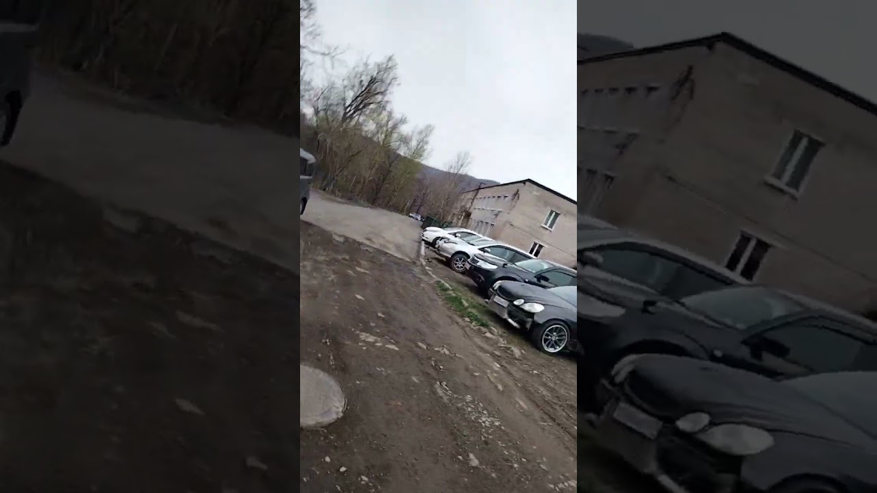 Без комментариев. Это те, которые считают себя нормальными. Вот такие родители, заставляют детей