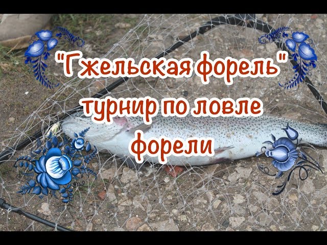 «Гжельская форель» — турнир по ловле форели