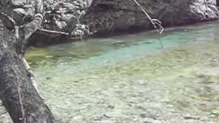 teaser slovenie