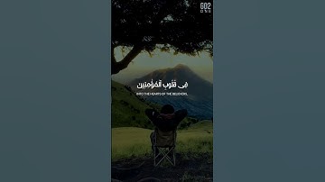 هُوَ الَّذِي أَنزَلَ السَّكِينَةَ | محمد صديق المنشاوي | سورة الفتح #القرآن