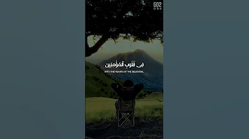 ه و ال ذ ي أ نز ل الس ك ين ة محمد صديق المنشاوي سورة الفتح القرآن 