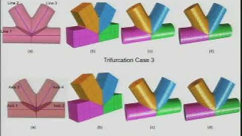 Thomas Hughes - Patient Specific Modeling and the Predictive Paradigm in Medicine