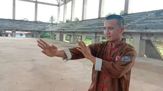 Wing Chun (Naga Putih) vs Pencak Silat (PSHT)