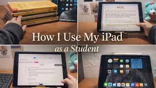 How I Use My iPad as a Student | Notes, Study & Law School Life 🎓📚 