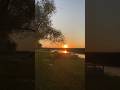 #summer #summervibes #закат #закатсолнца #sunset #sunshine #sunrise #sundayservice #suntv