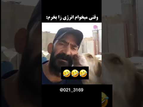انرژی زا طنز خنده فان ایران خنده دار میم اینستاگرام