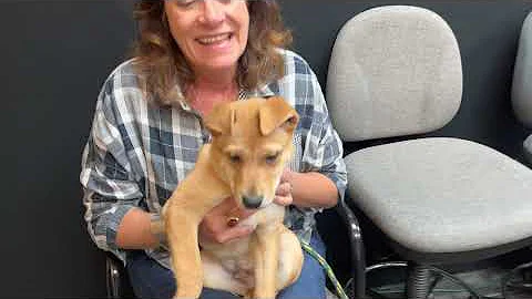 Jagger and Kristi's Kritters: Meet Morel
