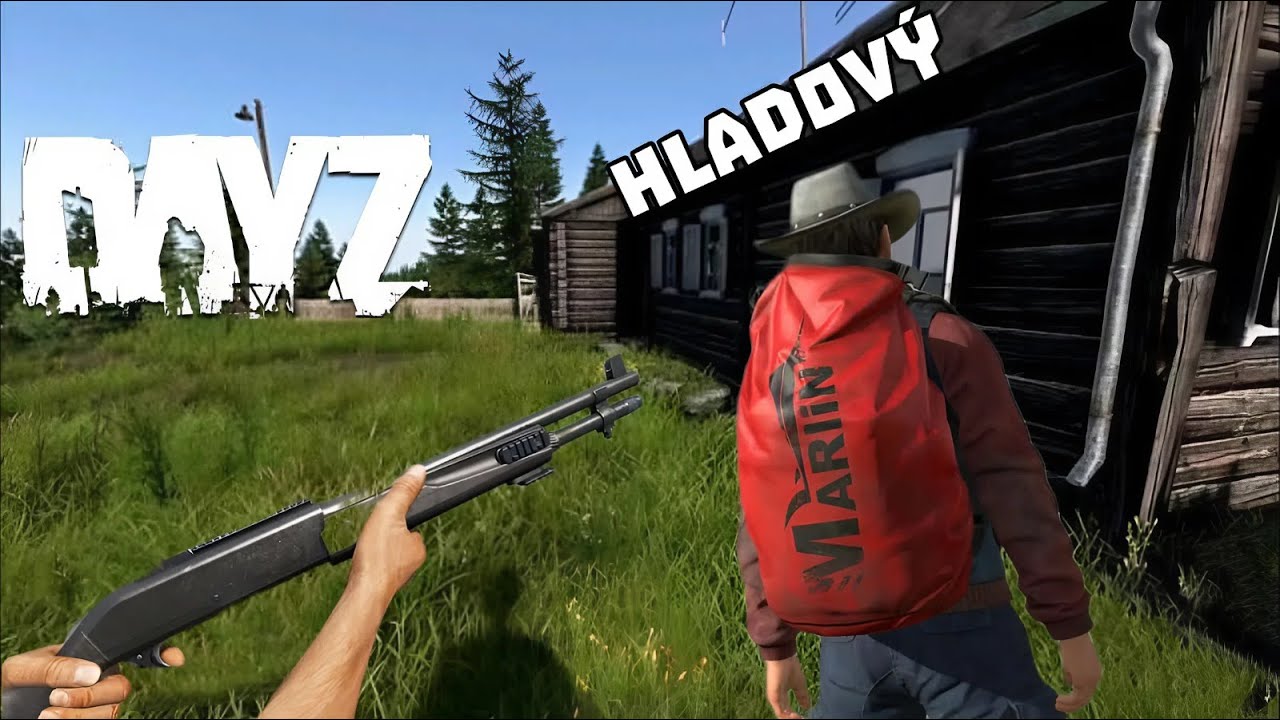DAYZ - CHUDÁK V POLANĚ 😇