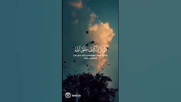 مَا لَكُمْ لا تَرْجُونَ لِلَّهِ وَقَارًا.              القارئ: ياسر الدوسري -سورة نوح