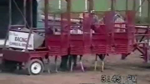 Americas Funniest Home Videos MIX [from www.metacafe.com].wmv