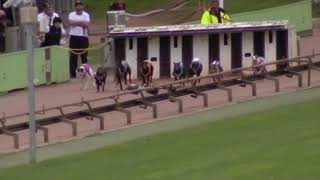 HVL SUN 22 MAR 20 R11