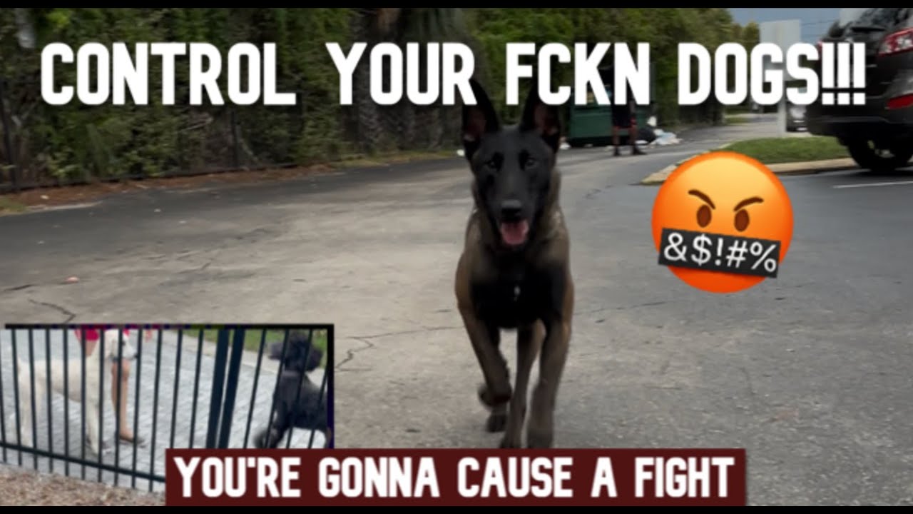 FORCE FREE LADY REFUSES TO CORRECT HER DOGS! ALMOST CAUSES A DOG FIGHT!!!