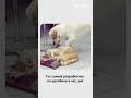 Пора работать!!!