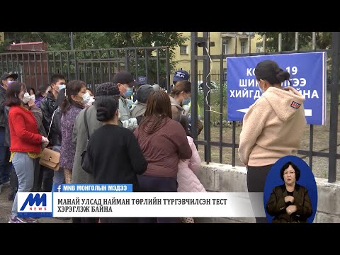 Видео: Гадуур гарах тухай: 'Хачирхалтай' нохойтой уулзаж мэндчилгээ дэвшүүлье