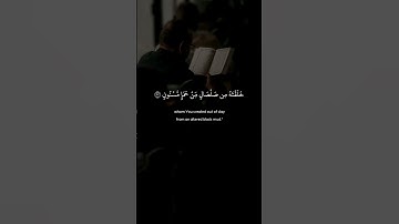 قال يا ابليس ما لك الا تكون مع الساجدين #سورة_الحجر #القارئ_شادي_هاني