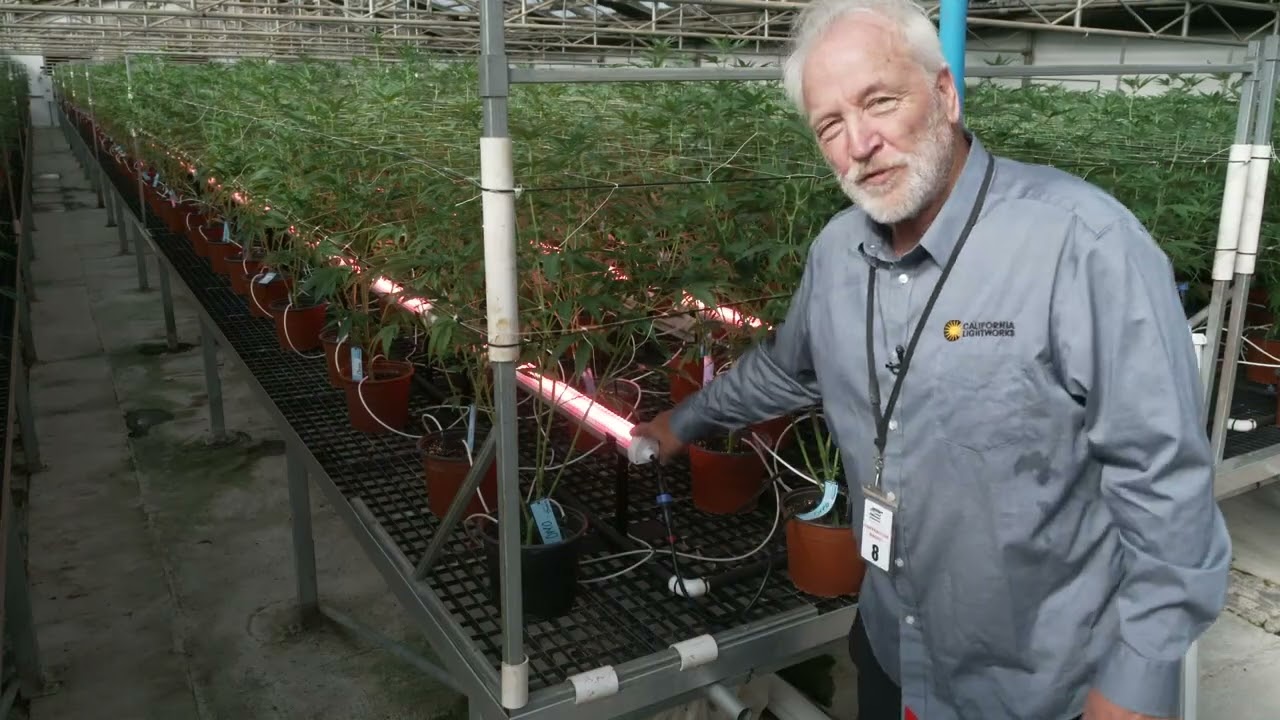 StateHouse: MegaDrive UnderCanopy Lights