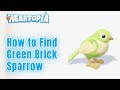 UNLOCK THE GREEN BRICK SPARROW FAST! How to Find Rare Bird in Heartopia Crater Lake Tutorial