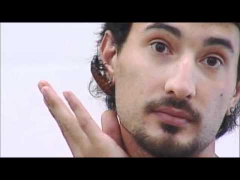 lizard skin grips Reptiles part 1