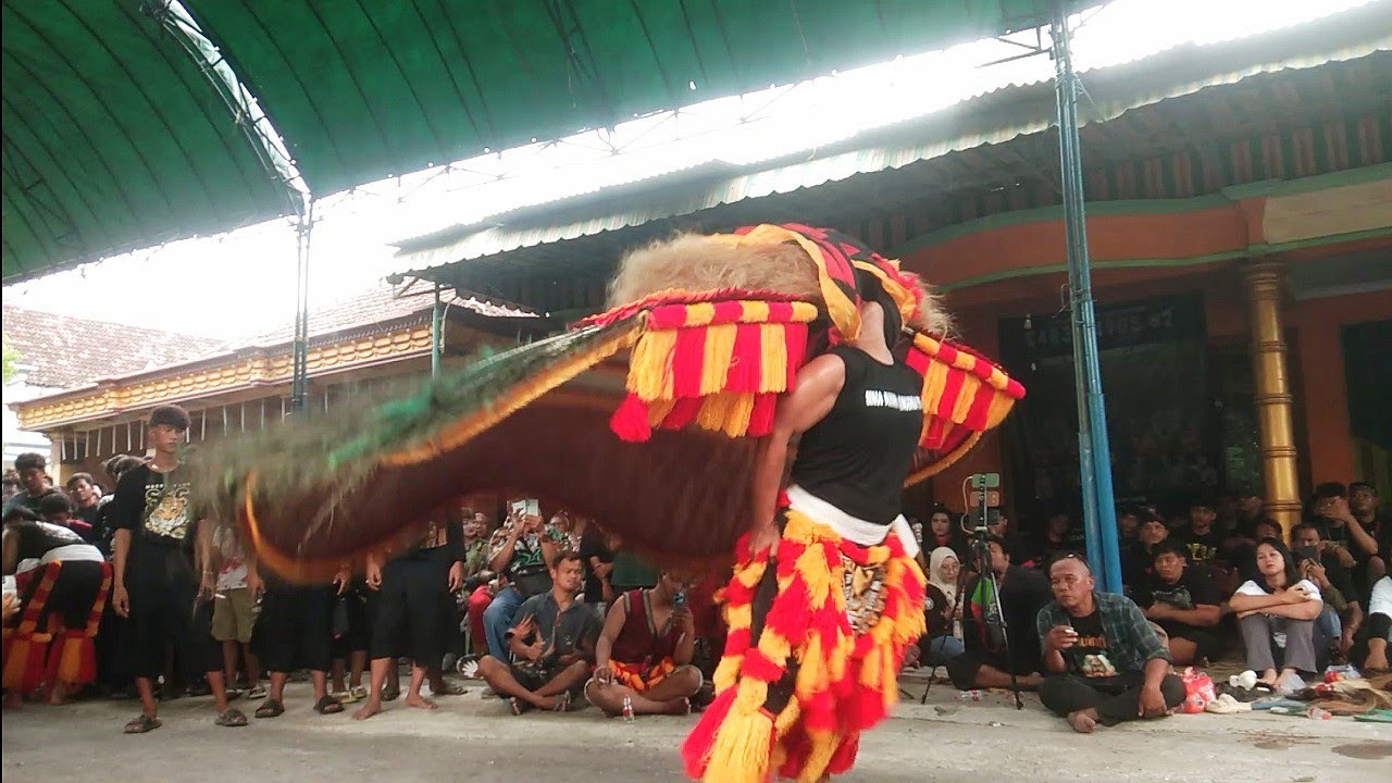 Pentas reog obyog di dukuh tambang desa kedung banteng‼️full dadak merak