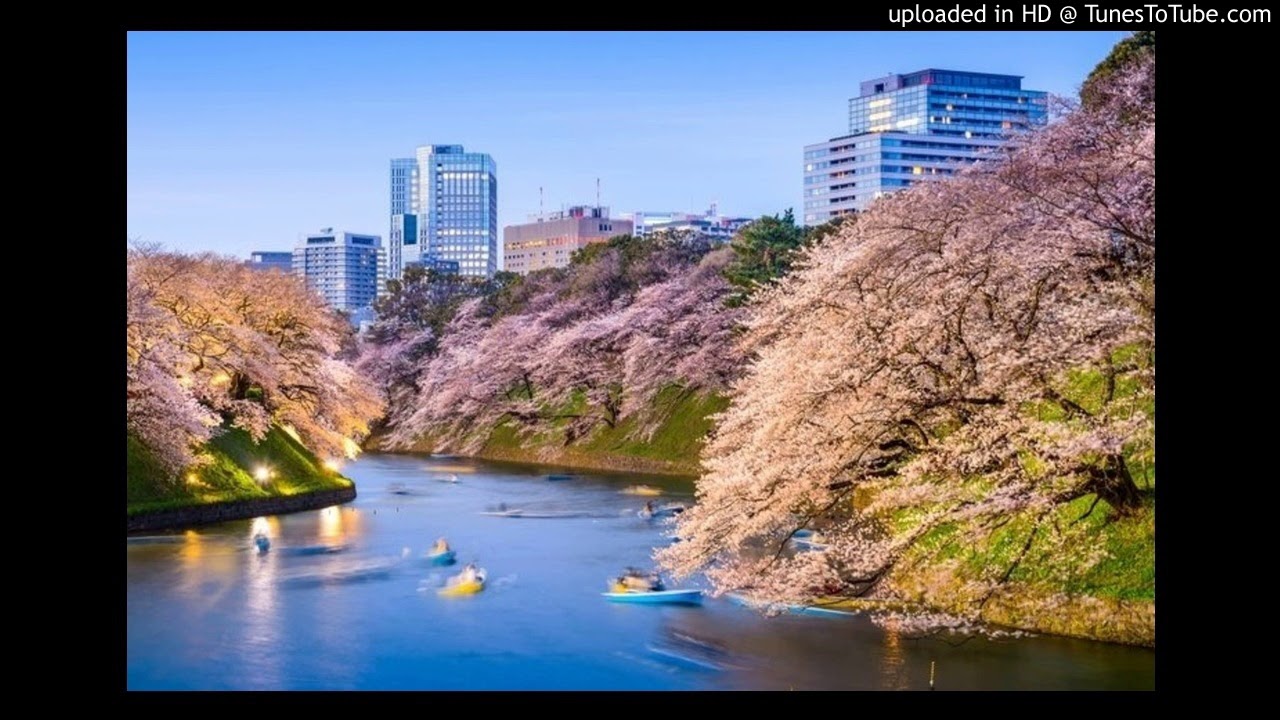 小野香代子 ／ 気まぐれでいいのに～さよならの言葉