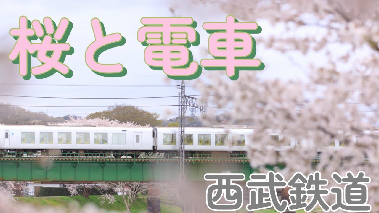 【西武鉄道】桜と電車