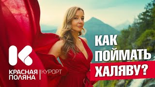 картинка: КРАСНАЯ ПОЛЯНА - Как поймать ХАЛЯВУ? #краснаяполяна  #сочи #всеосочи