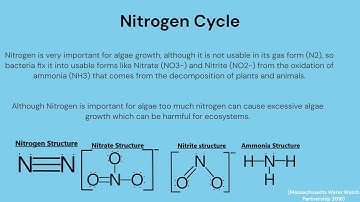 Non point source pollution video