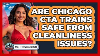 Are Chicago CTA Trains Safe From Cleanliness Issues? - What To Know About Chicago Profile