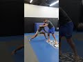 FUNKY Single Leg Counter