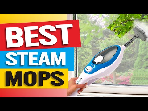 Top 5 Steam Mops in 2023