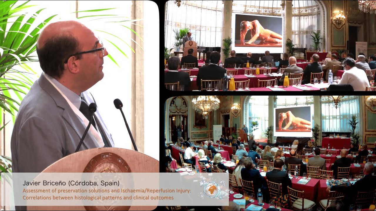 CUSTODIOL Meets the World - Casino Madrid. Ponente: Dr. Javier Briceño