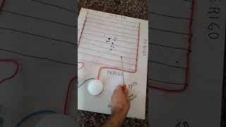 Mata Rato Com Choque 