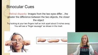Perceptual Organization Flipped Notes for AP Psychology by Mandy  Rice