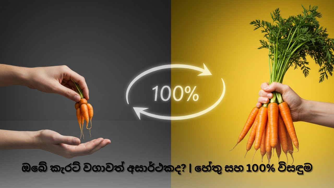 ඔබේ කැරට් වගාවත් අසාර්ථකද? | හේතු සහ 100% විසඳුම