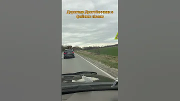 Залиш мені хоча б на згадку чарівну усмішку свою дякуюзсу люблюукраїну дорогами Дрогобиччини 