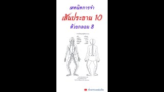 วิธีจำเส้นประธานสิบด้วยกลอนแปด #วิธีจำเส้นประธานสิบด้วยกลอนแปด #กลอนแปดเส้นประธานสิบ #เส้นประธานสิบ