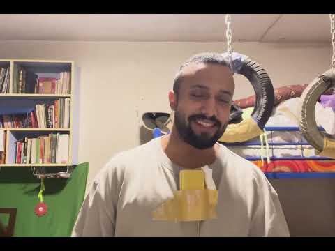 ده فيديو بيضحك زحمة يا