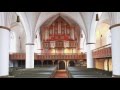 Video: Ganderkesee Arp Schnitger-Orgel - Thorsten Ahlrichs im Gespräch