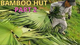 Building My Bamboo Hut From Scratch, Part 2: Harvesting Bamboo &amp; Palm Leaves