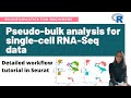 Pseudo-bulk analysis for single-cell RNA-Seq data | Detailed workflow tutorial