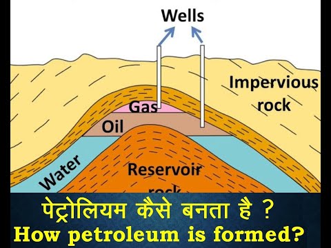 वीडियो: पेट्रोलियम प्रणाली क्या है?